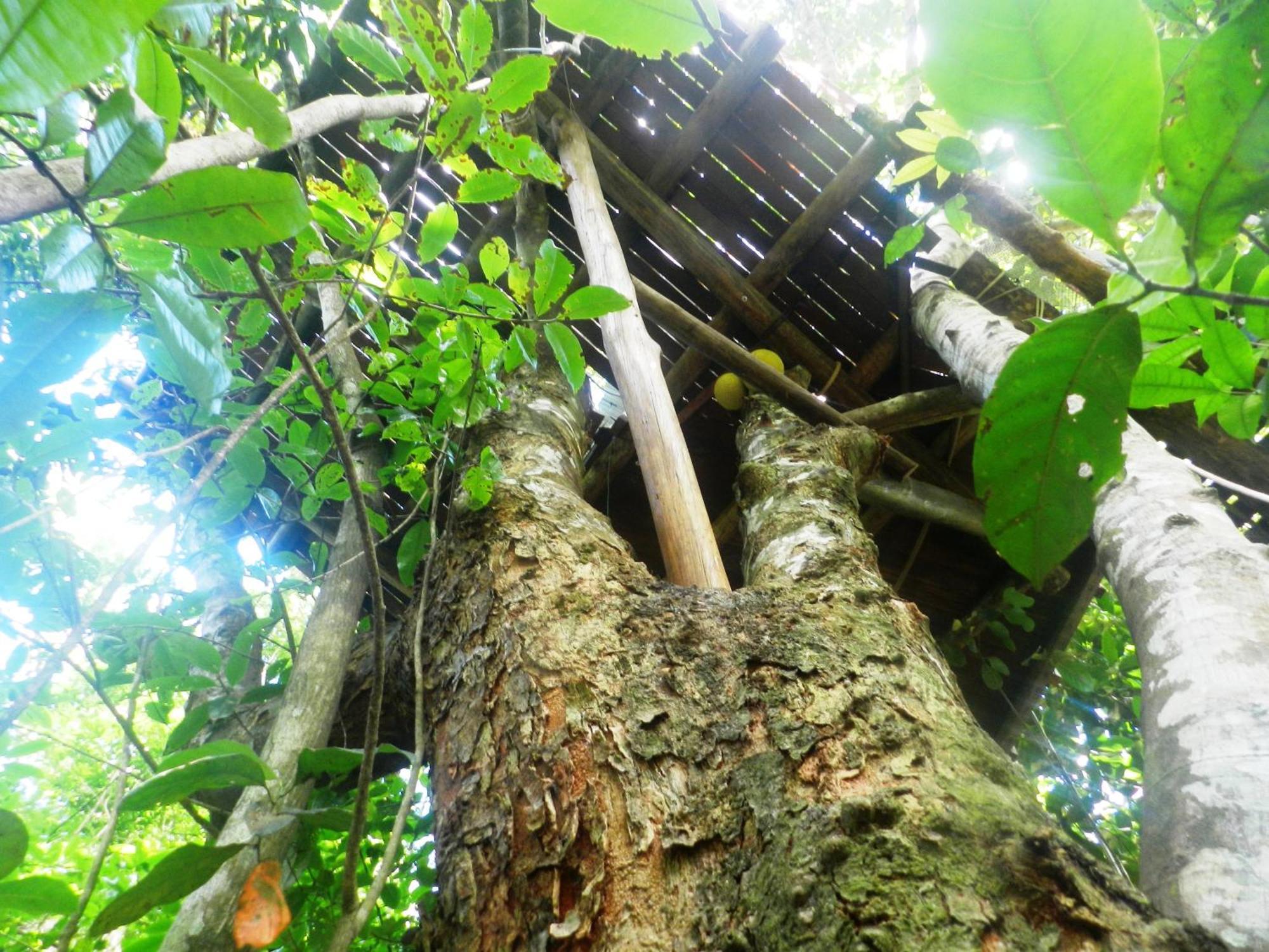 Paraty Paradiso 外观 照片